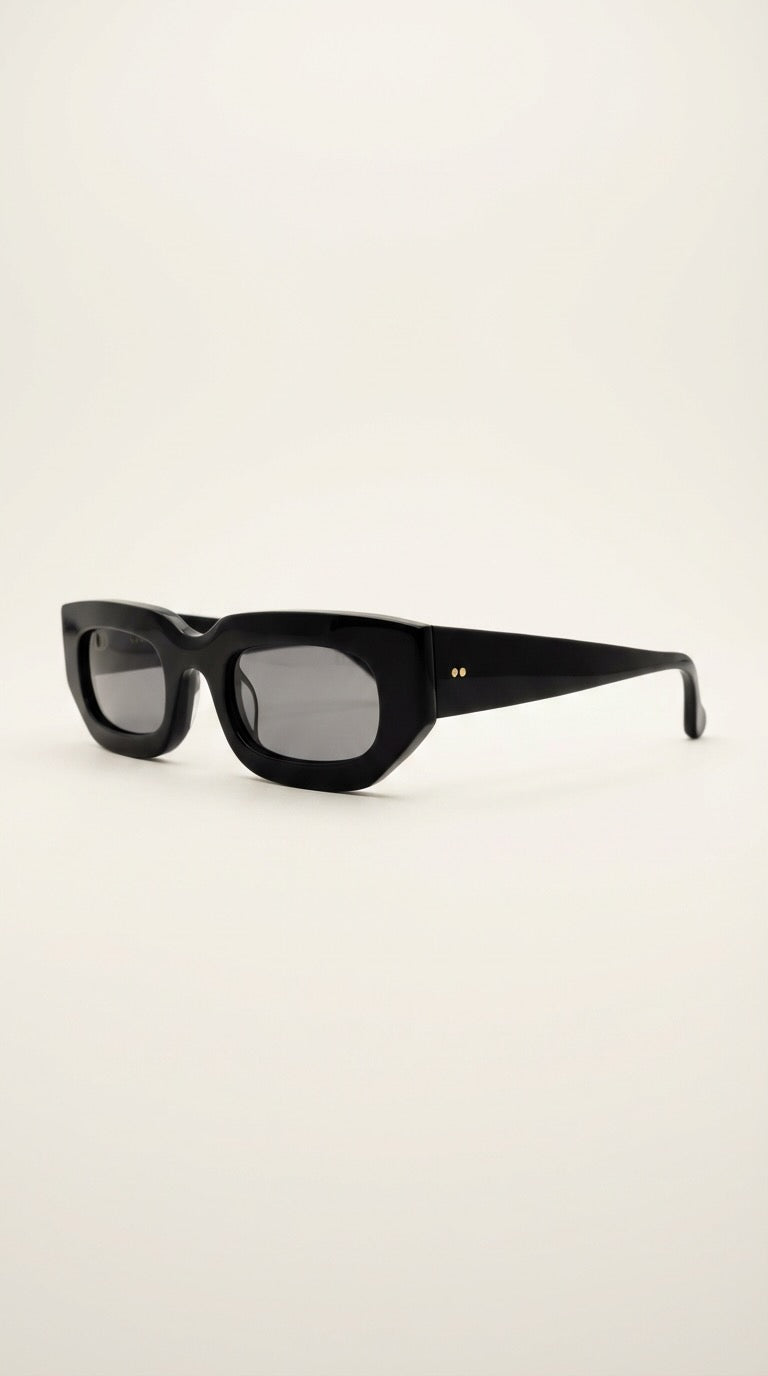 Anti-AI Glasses
